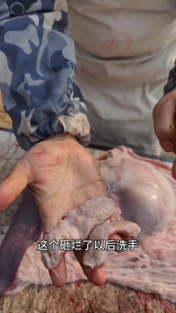 豬肉部位冷知識：被誤解的豬胰子，原來長在這里！