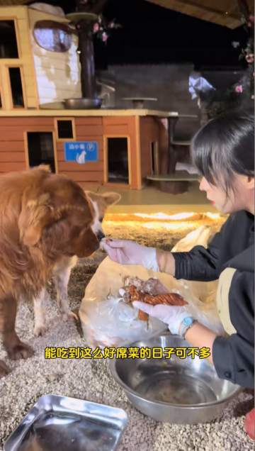 宴席散場我守毛孩子的小小幸福