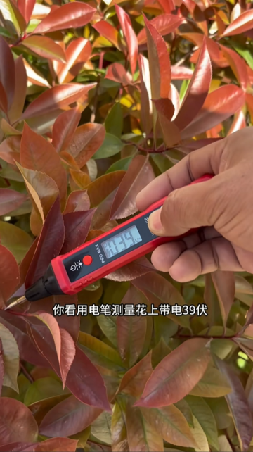 零線帶電、地線帶電、花草帶電！一次罕見漏電故障全解析