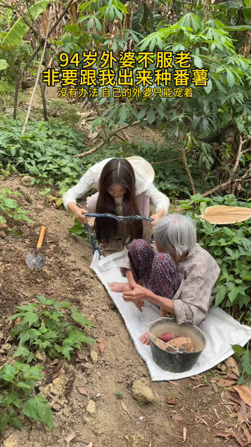 94 歲的外婆不服老，堅持要跟著作者一起去種番薯，只能順著外婆、寵愛外婆