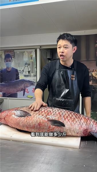 60 斤巨青魚挑戰手工魚丸：從鮮魚到 Q 彈丸子的全過程