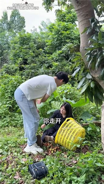 31 號佳怡生日風波：百臺電動車暖心籌備，荔枝園爭執致傷情斷情