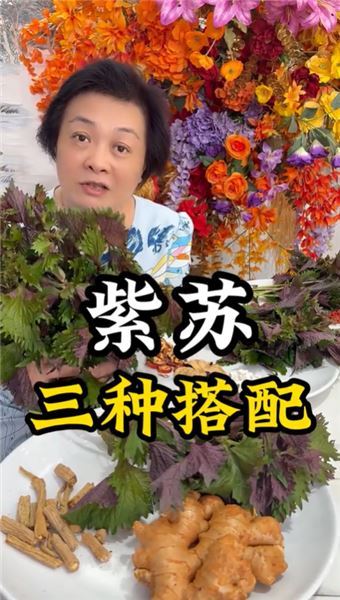 紫蘇是個寶，三種實用搭配對癥調理，全家老少都適用