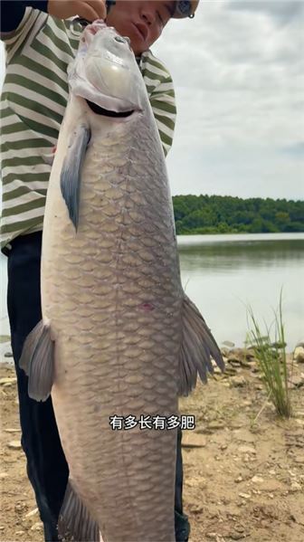 以魚換蟹，一場釣魚人與璽宴姐妹的信任之約
