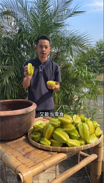 小時候經常在農村看到的楊桃，現在慢慢的已經看不到了，今天做個楊桃干進村。