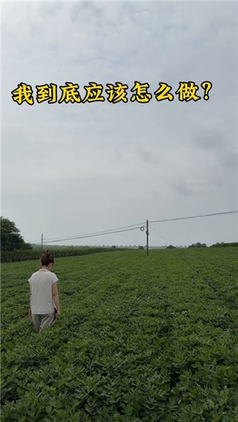 驕傲又自卑的愛：他選擇獨自扛下苦難，而我做不到轉身就離開