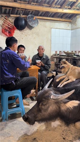 深耕土地靜待秋收：犁田耕耘之后，一碗臘肉炒竹筍品盡鄉村煙火