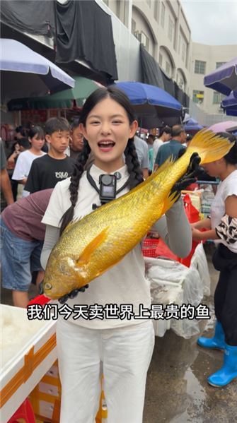 我們今天擺攤賣世界上最貴的魚 —— 中國魚王大黃花魚