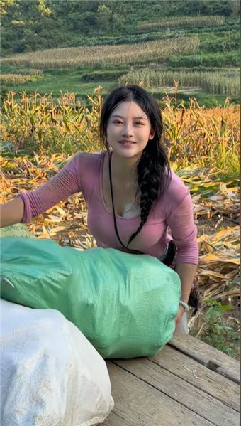 大山里的秋收：收玉米的日子，農村姑娘小青靠雙手扛起生活