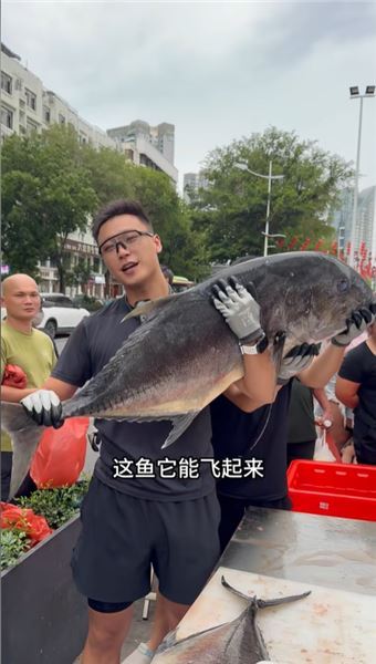 這魚講真能拽著船跑??GT 牛港鲹！海釣人遇上它，到底是什么體驗？