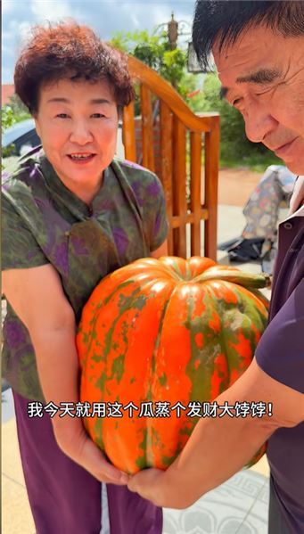 八十斤大南瓜蒸山東大餑餑，一口嘗得到農村最質樸的煙火香甜
