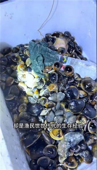 迎著海浪討生活才是你看到的真實漁村，今天又拿下去跟哥哥嫂子一起分享海鮮。