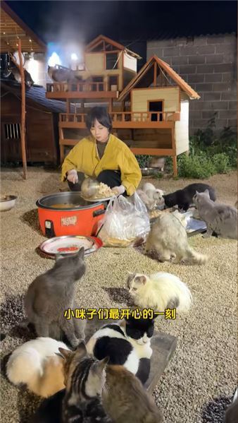 “我們今天不是吃剩菜的小流浪貓，我們是祝新人新婚快樂的小小嘉賓。”