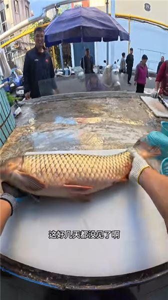 殺鯉魚不放血不抽筋？別隔著屏幕評判我的手藝