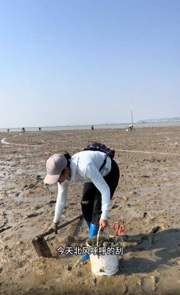 今天的螃蟹很有想法 抓螃蟹 海邊生活 趕海