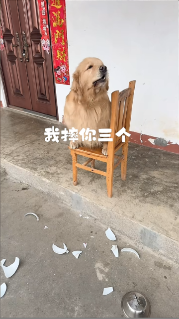 過分過分過分！怎么可以這樣，摔了我這么多個碗，今天別想吃飯了