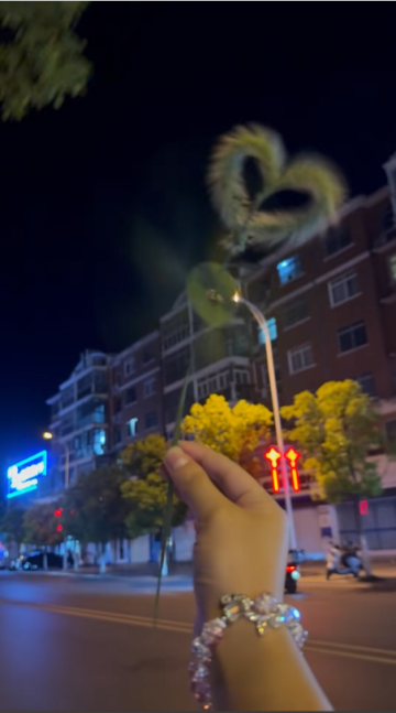 用蘆葦葉做一架小風車，讓童年在風里輕輕旋轉